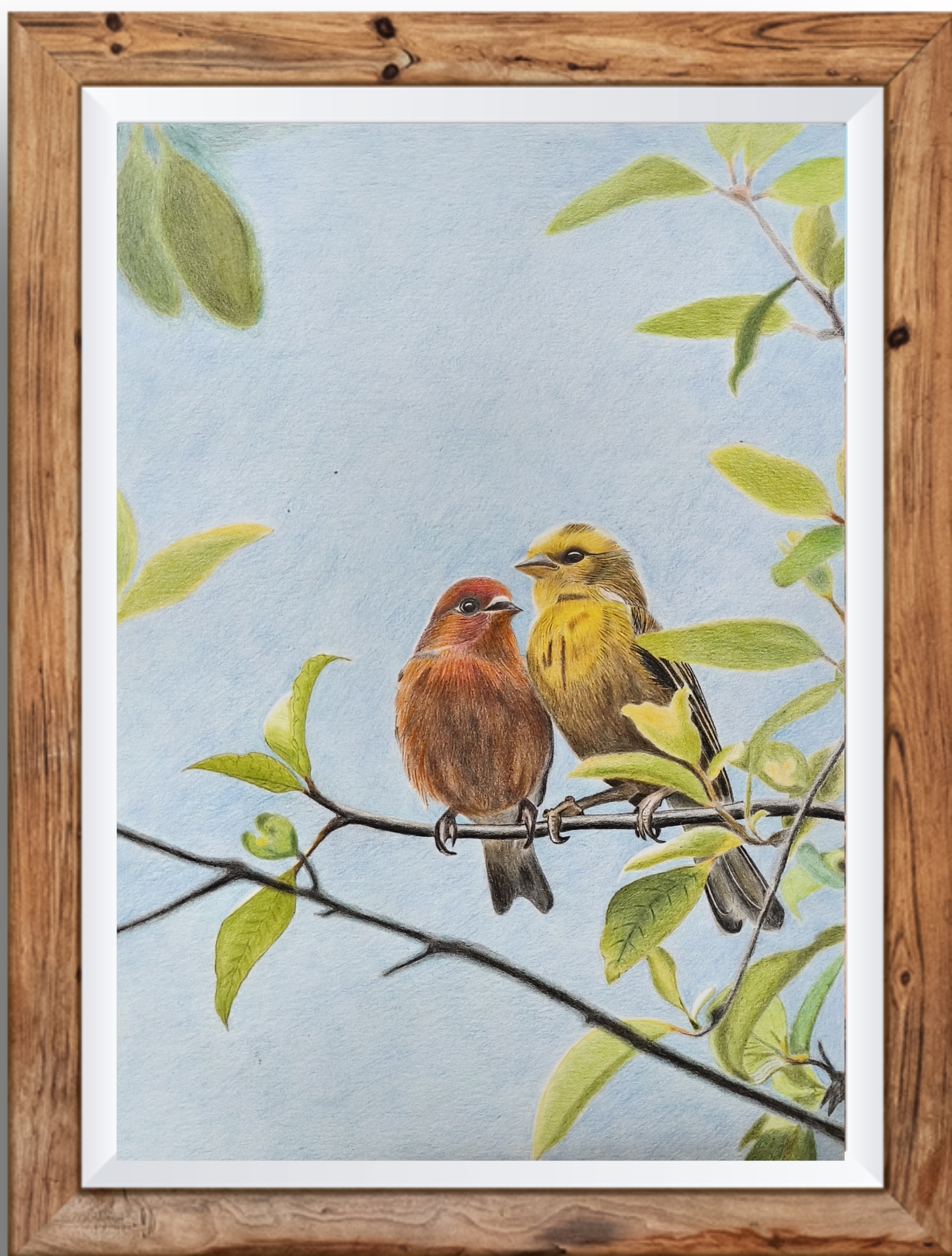 Two Little Birds_image