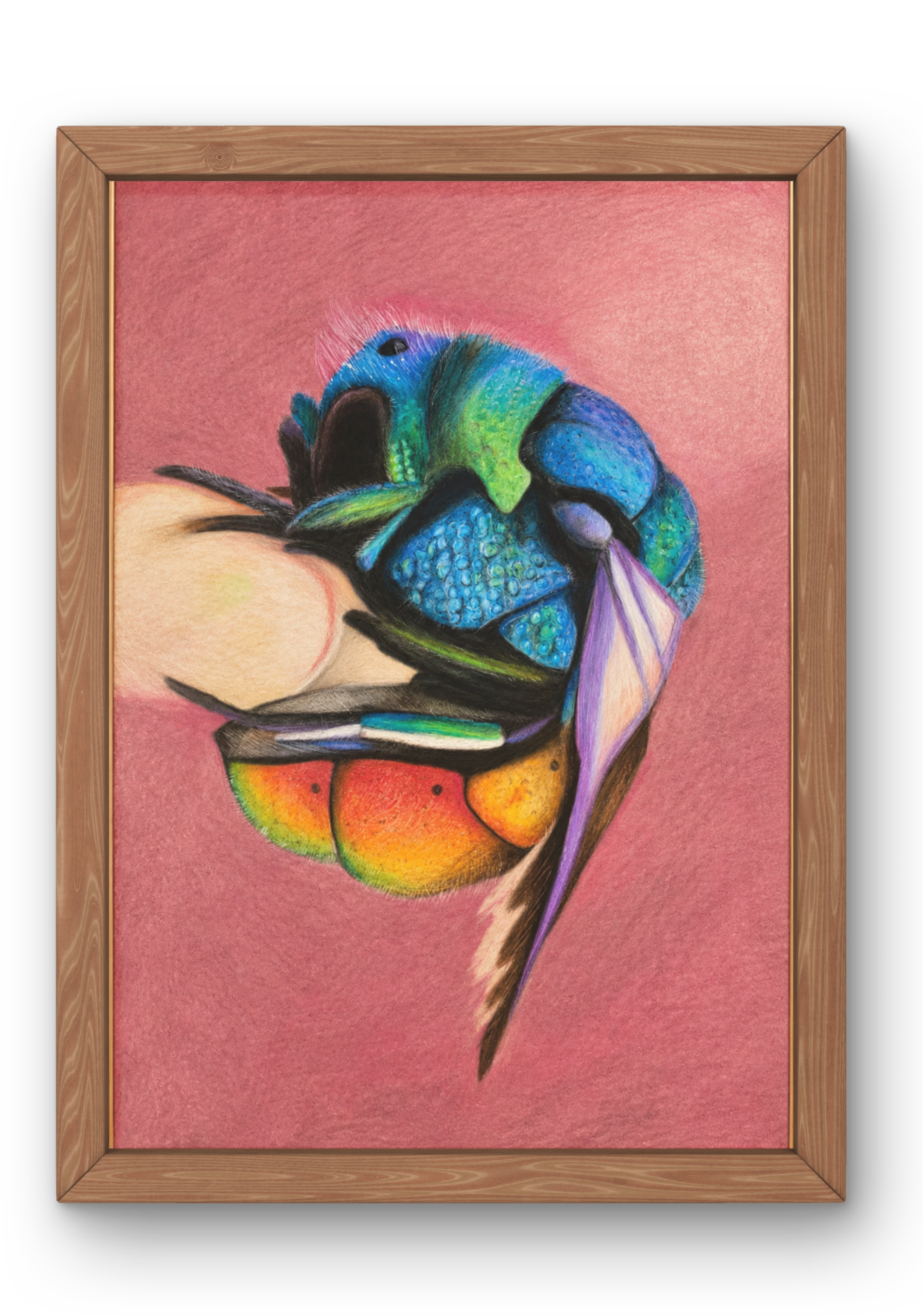 Chromatic Wings_image